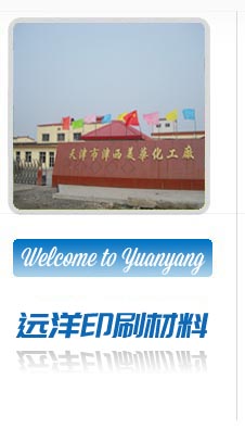 天津市津西美华化工厂